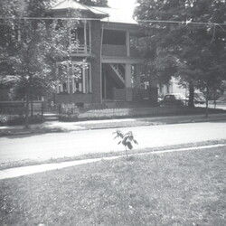 Albums Dora Gave John