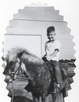2026-03-28-0038