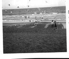 Carol 1- Carol and John with Grandpa K in FL