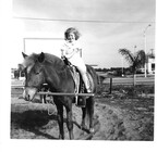 Carol 1-Florida Carol pony