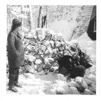 Carol 1-Mom with turkeys outside A-frame