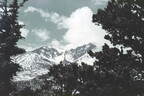 2026-04-02-0042