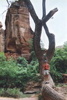 2026-04-03-0004
