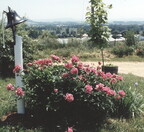 2026-04-03-0012